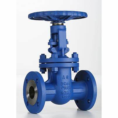 供應(yīng)意大利Valvosider閥門、過濾器